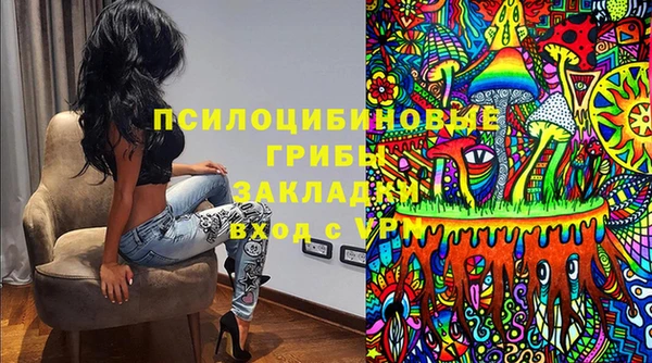 хмурый Армянск