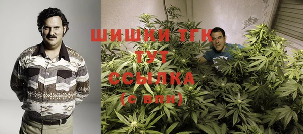 ALPHA PVP Новозыбков