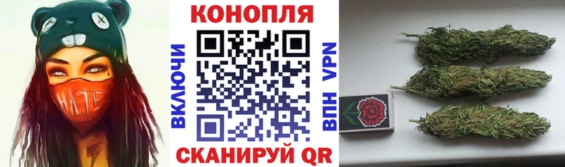 закладка  Таштагол  МАРИХУАНА индика 